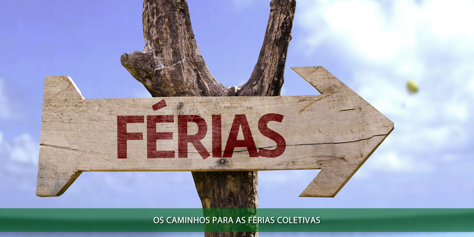 FÉRIAS COLETIVAS. REFLEXOS LEGAIS E DE MERCADO PARA A EMPRESA QUE FAZ ESTA OPÇÃO